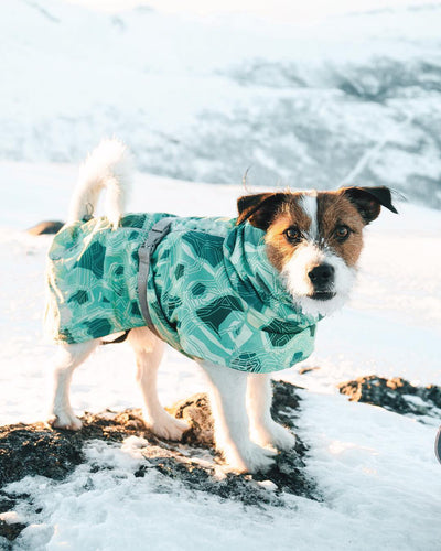 New Autumn And Winter Quilted Snow Warm Waterproof Large Dog Cotton Jacket Coat Jacket